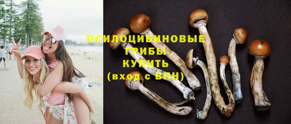гашик Михайловка
