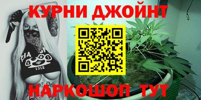 дмт Гай