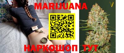 дмт Гай