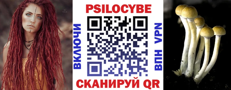 магазин Прохладный Галлюциногенные грибы Cubensis