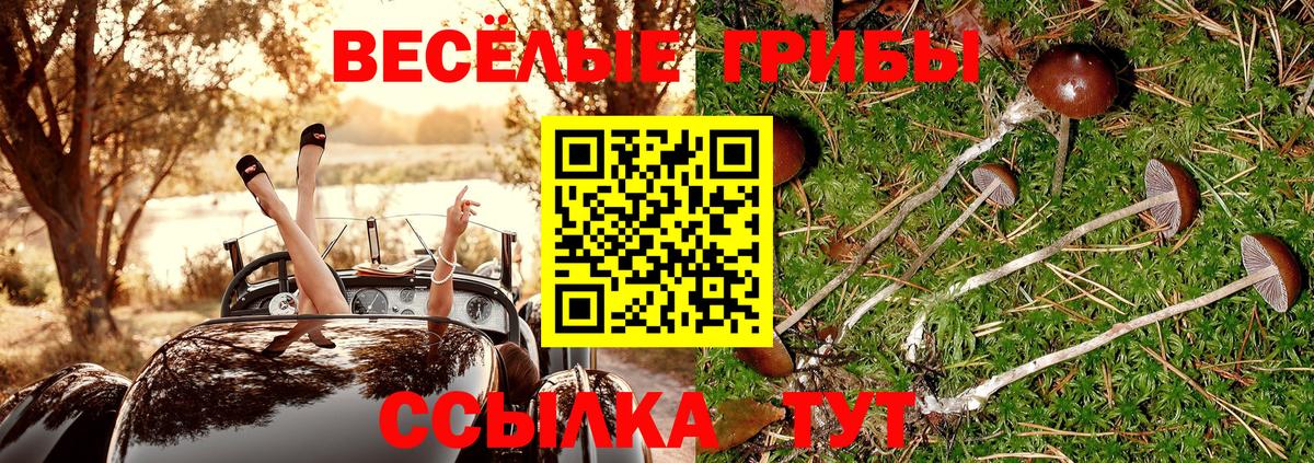 Прохладный  Галлюциногенные грибы мицелий  купить закладку  Вход с VPN 