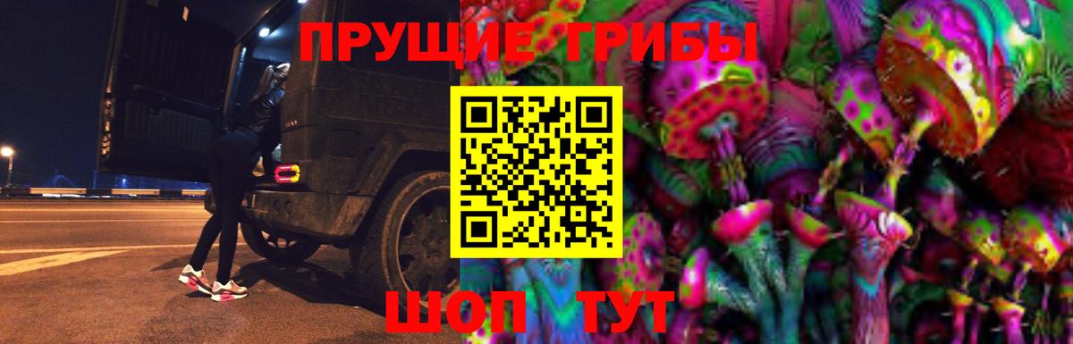 Галлюциногенные грибы Cubensis Прохладный